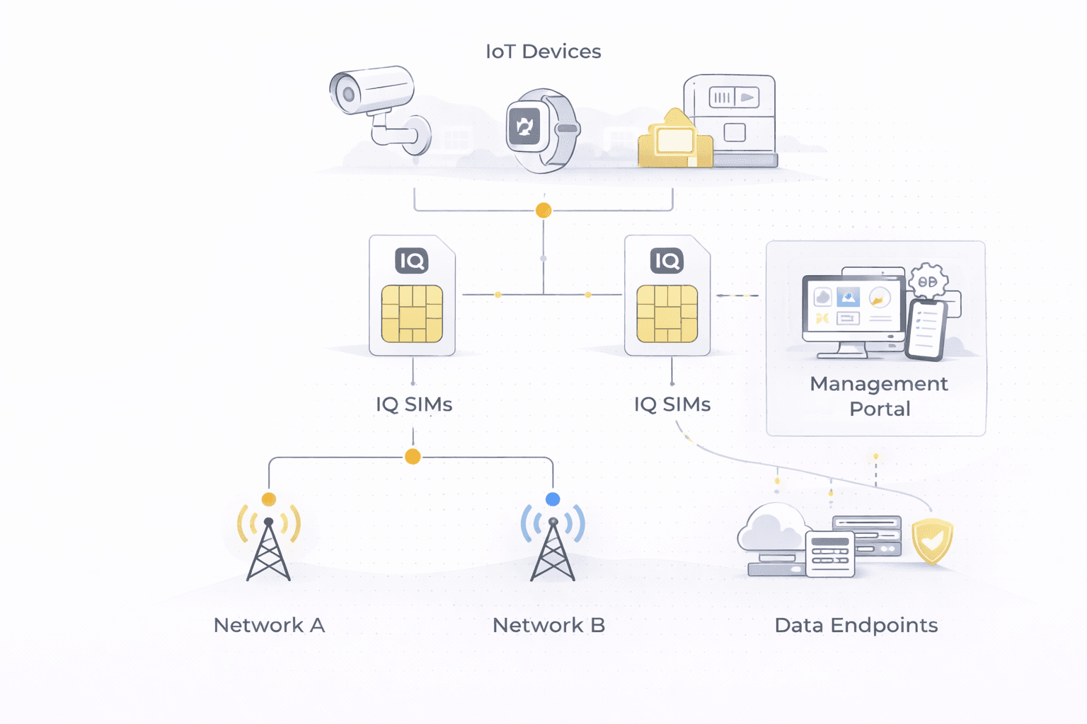 IoT Architecture Diagram showing flow from IoT Devices through IQ SIMs to Multi-Network, Management Portal, and Data Endpoints